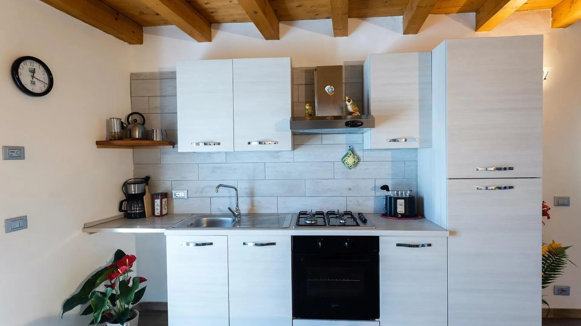 Ap. Ginevra - Lago Di Garda Tremosine Apartmán